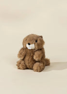 MINI PELUCHE CADEAU - LOUTRE - Institut MAIA