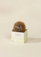 MINI PELUCHE CADEAU - SINGE - Institut MAIA
