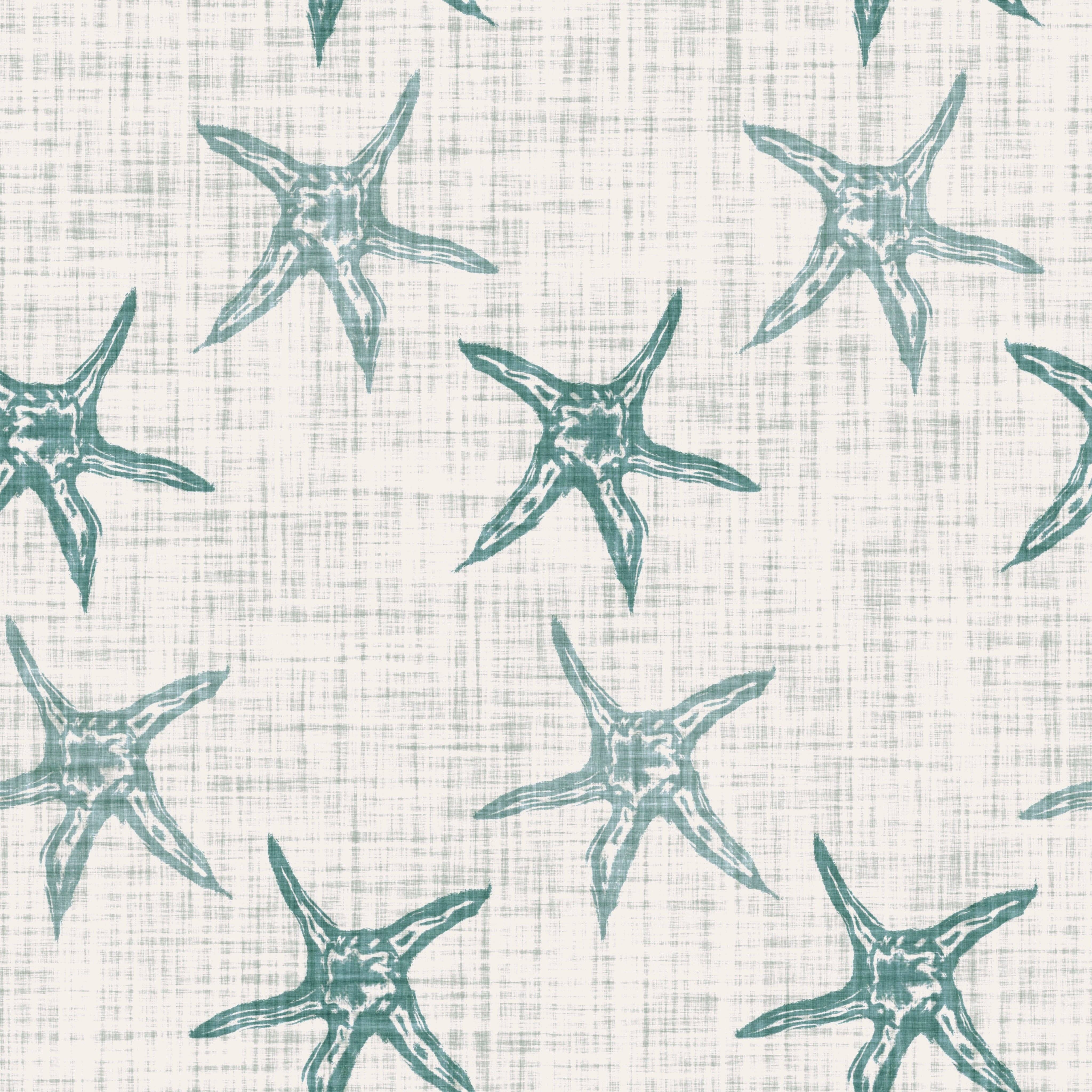 BOARDDIES JORDAN - Institut MAIA